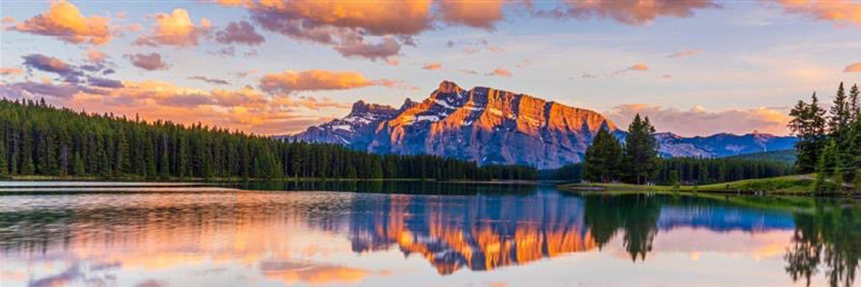 Alberta Government ☑️News