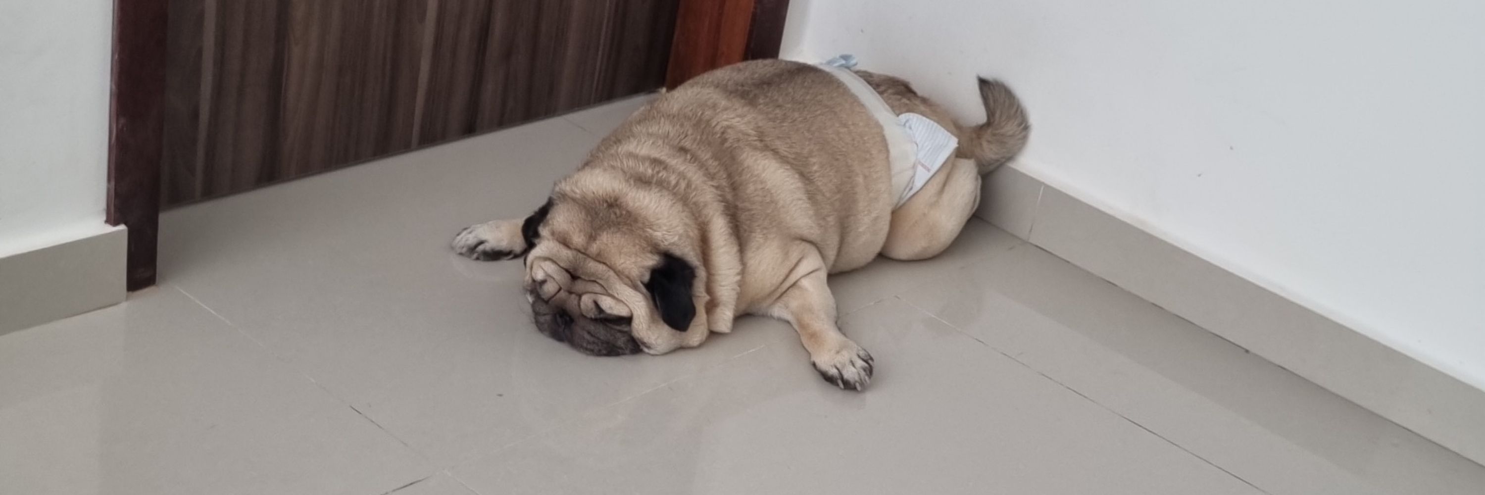 tamtam
