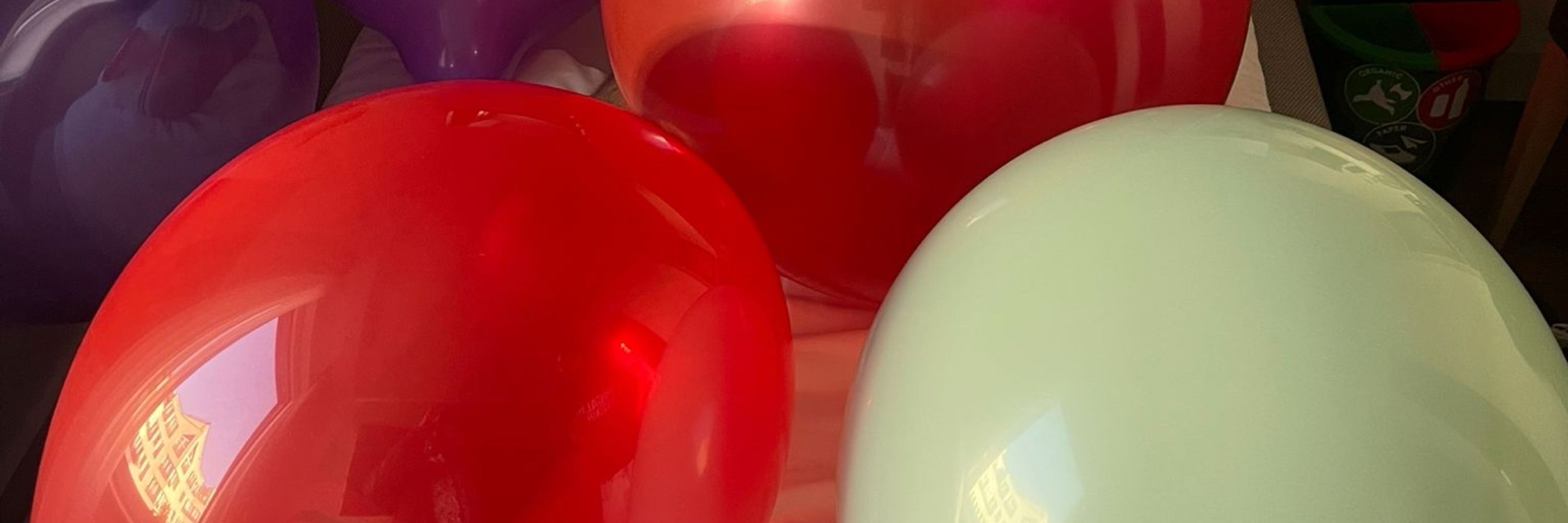 Pup Malgus 🎈🏳️‍🌈