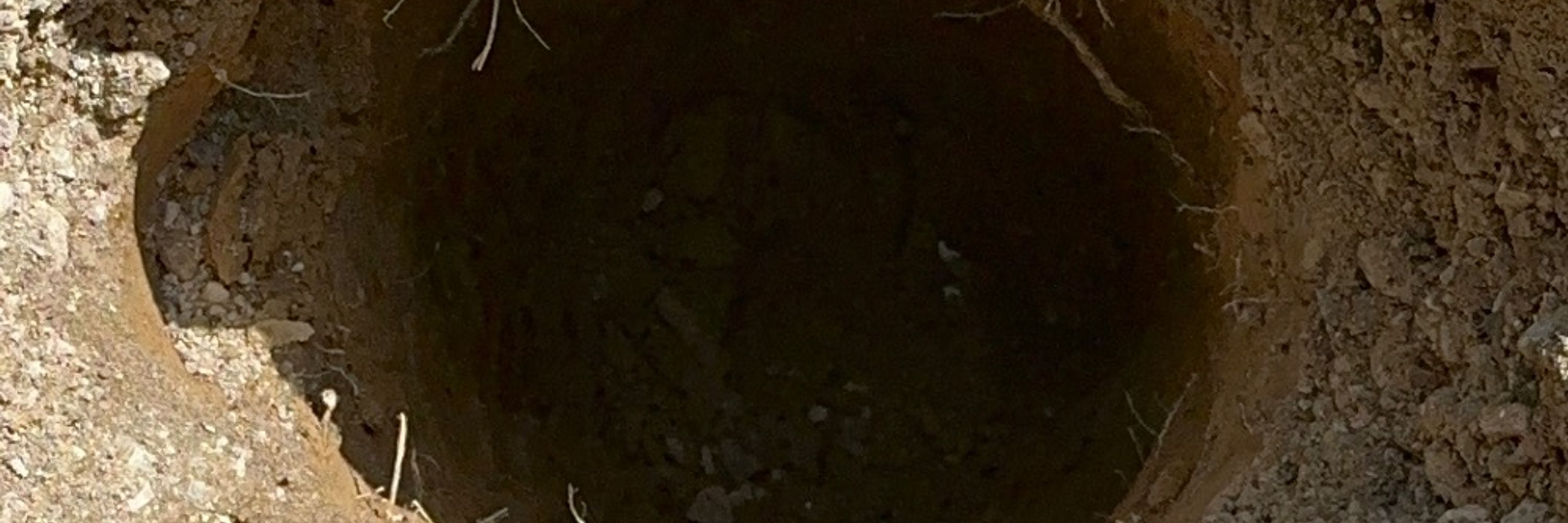 Veo