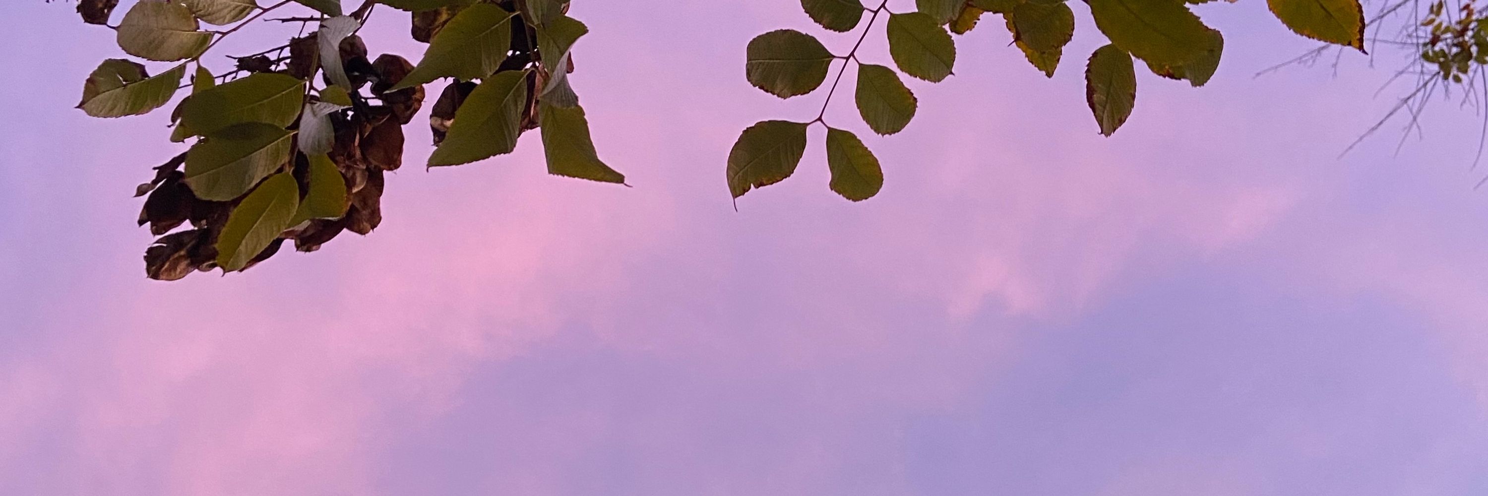 kae /\\\