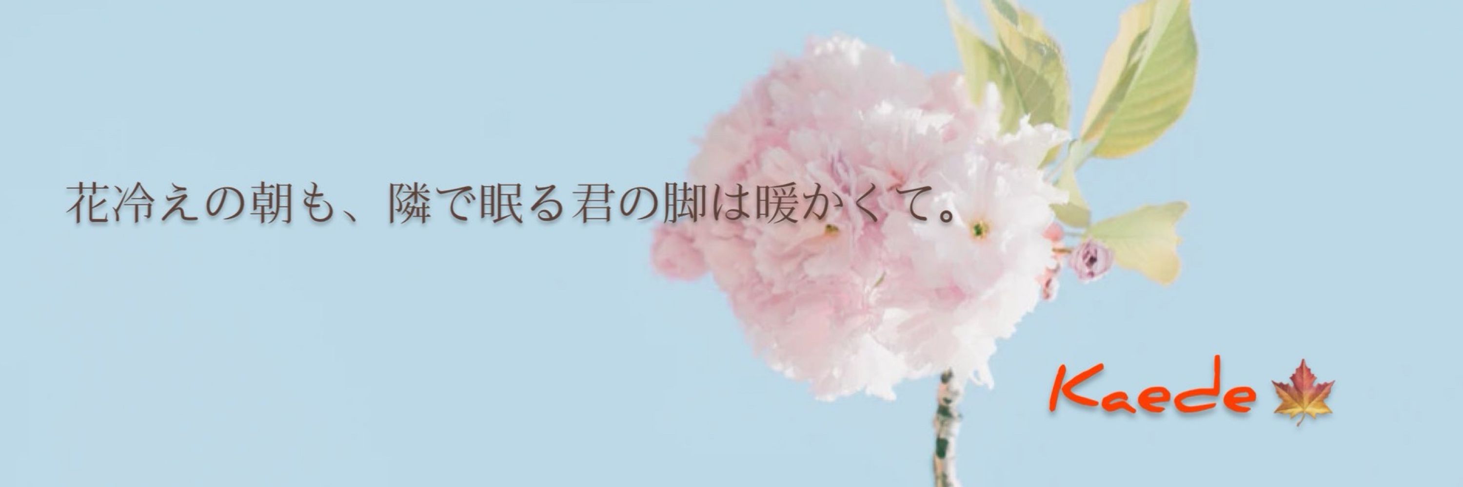 かえで🍁