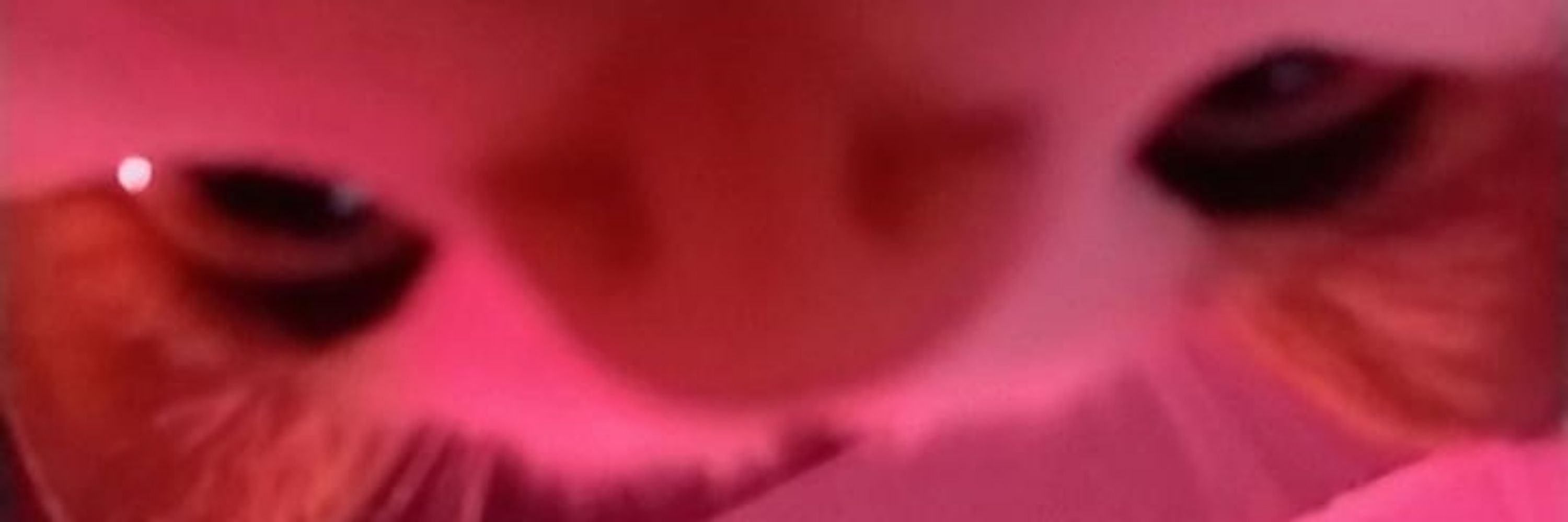 Juh~💖