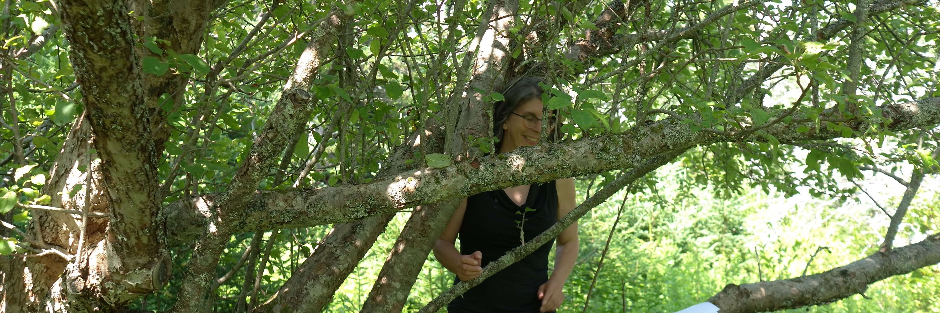 Eleonore Schonmaier Author