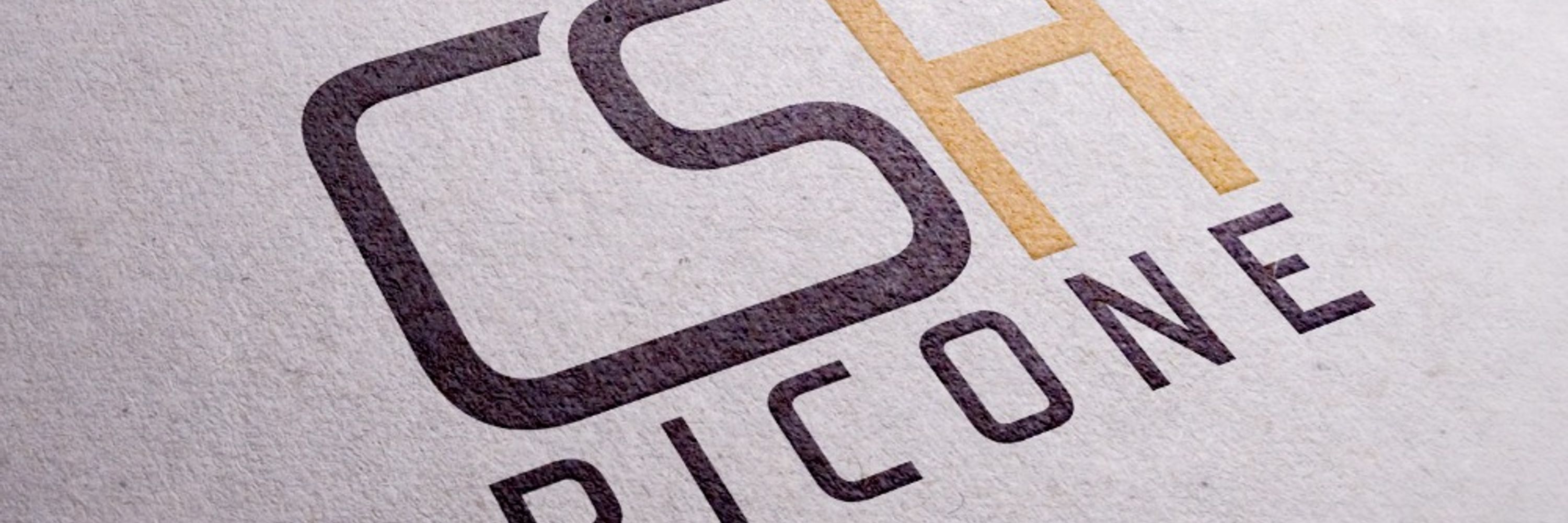 CSH Picone