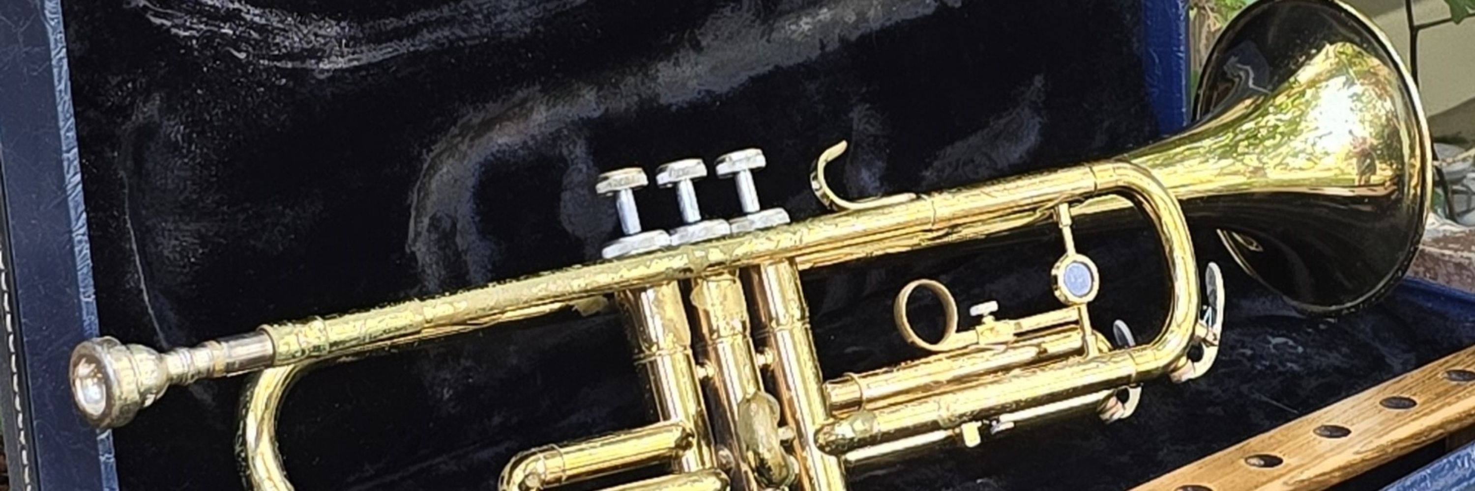 Luke Warm Trumpet