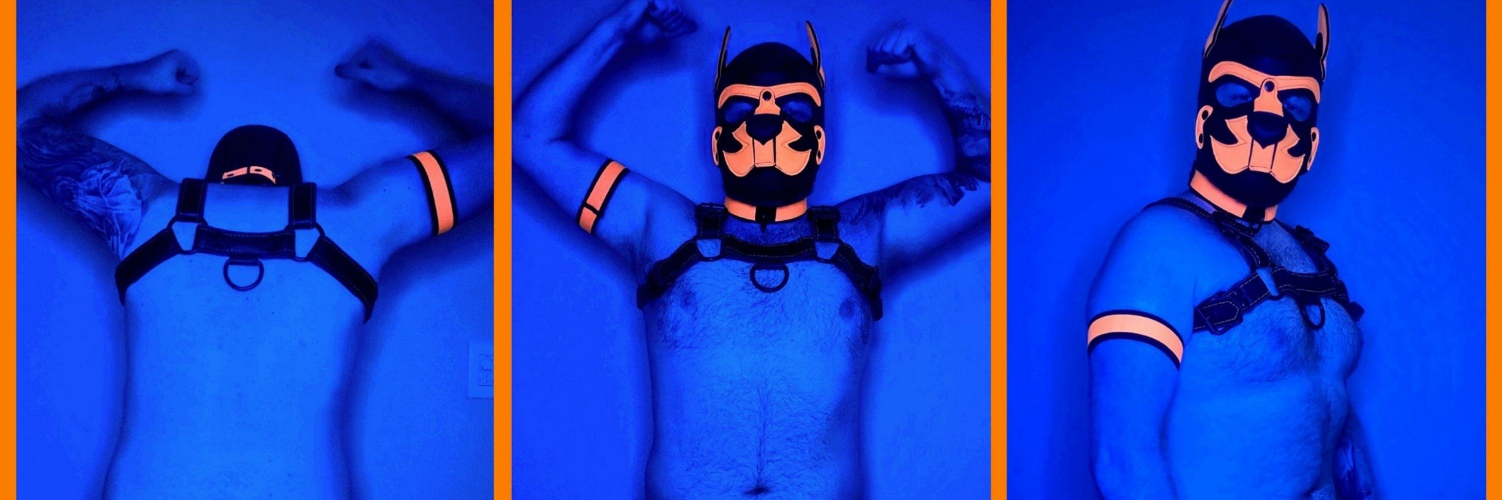 SGT WOLF 🧡💛🤍