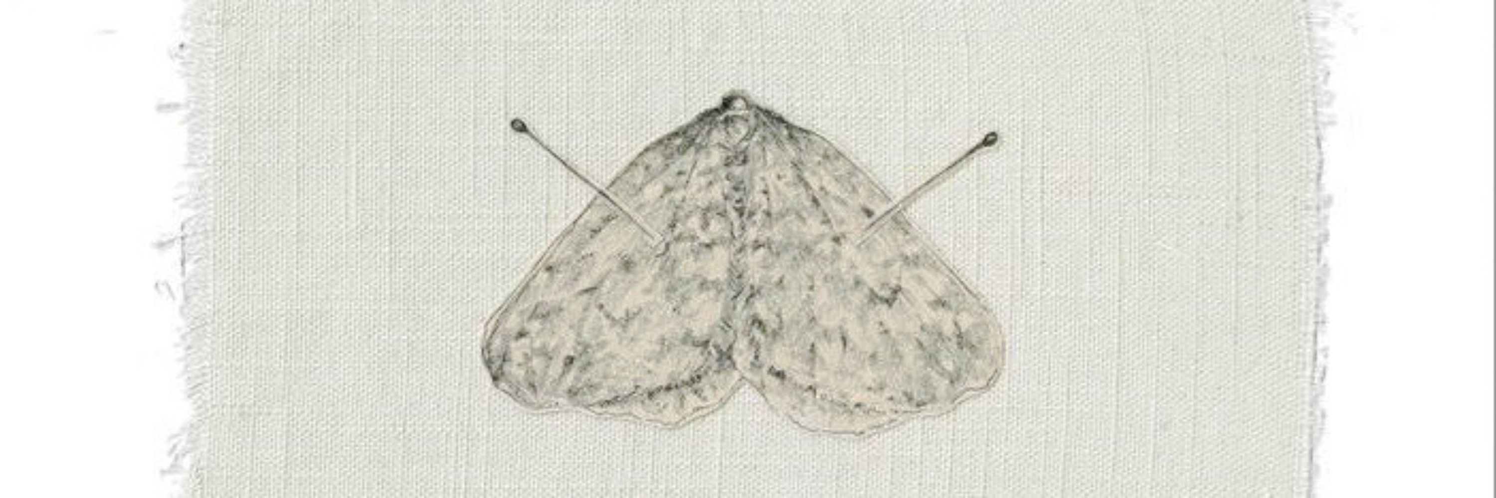 millena 