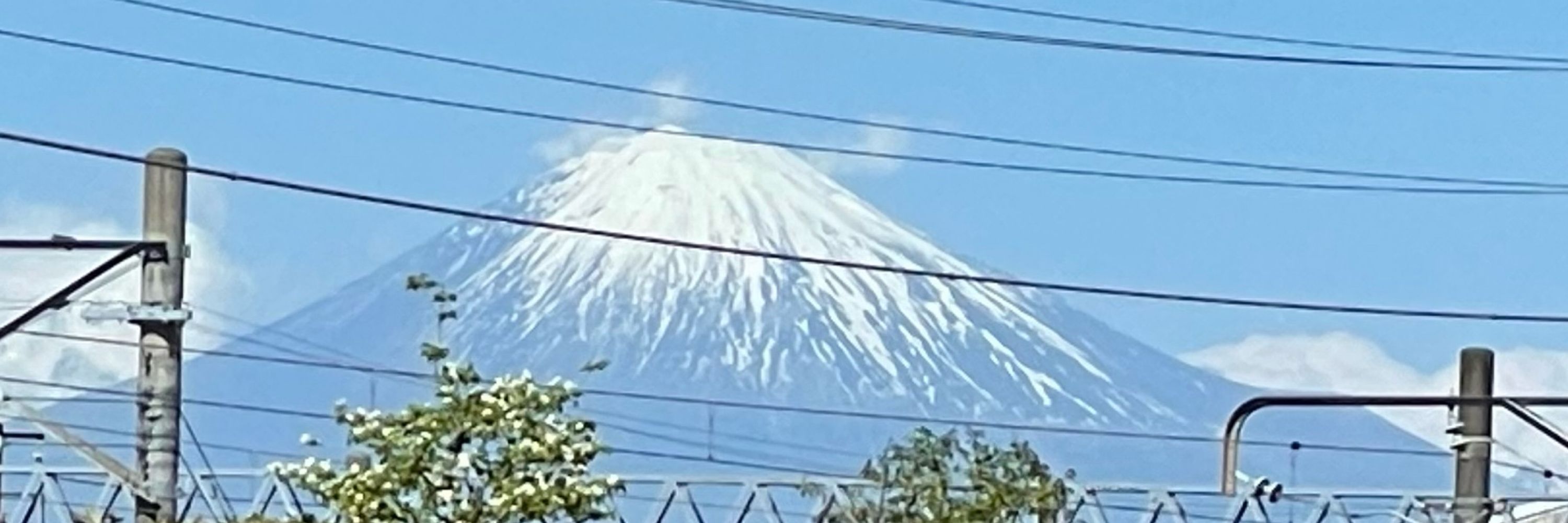 しろな