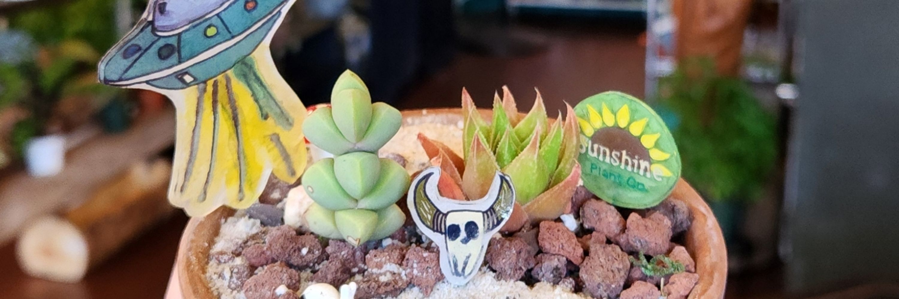Sunshine Plant Company
