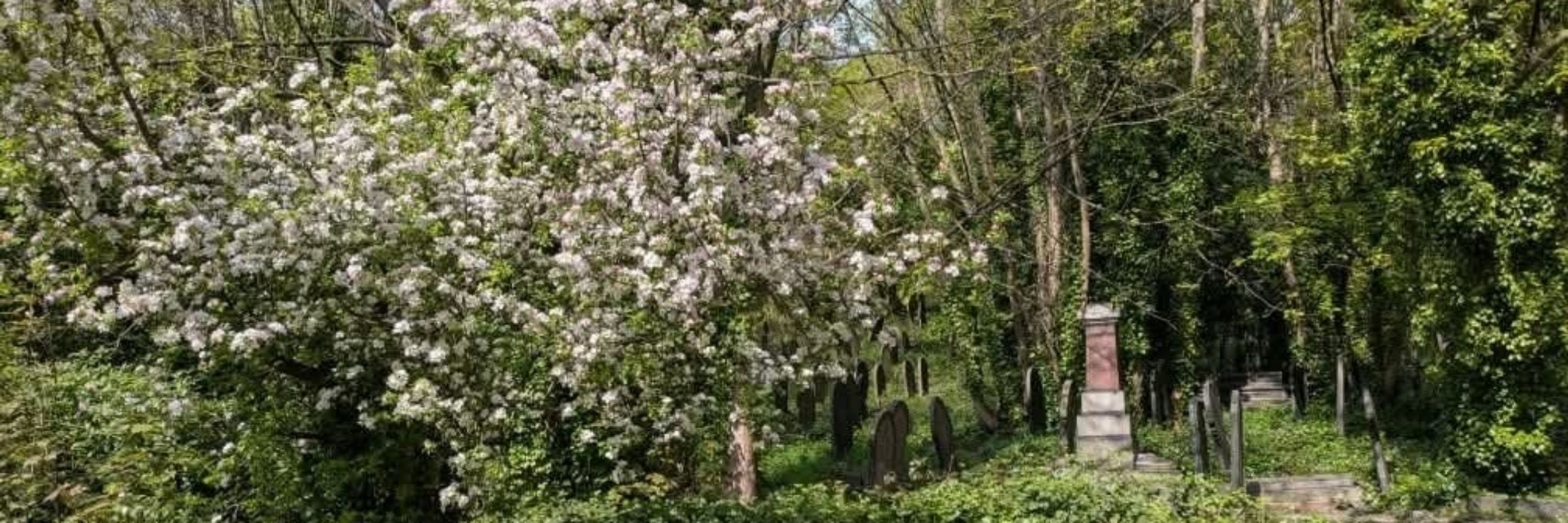 Wardsend Cemetery Heritage Park
