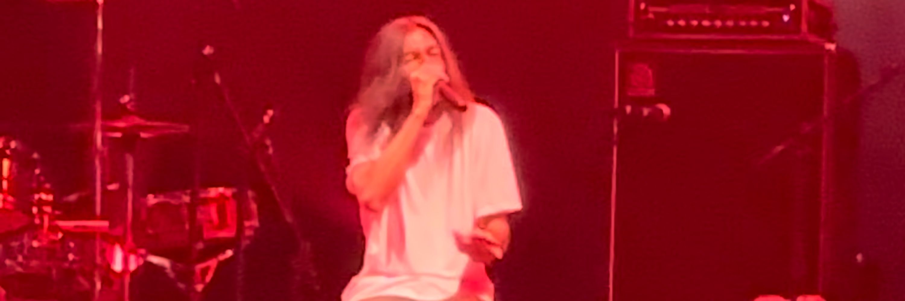 vargas 