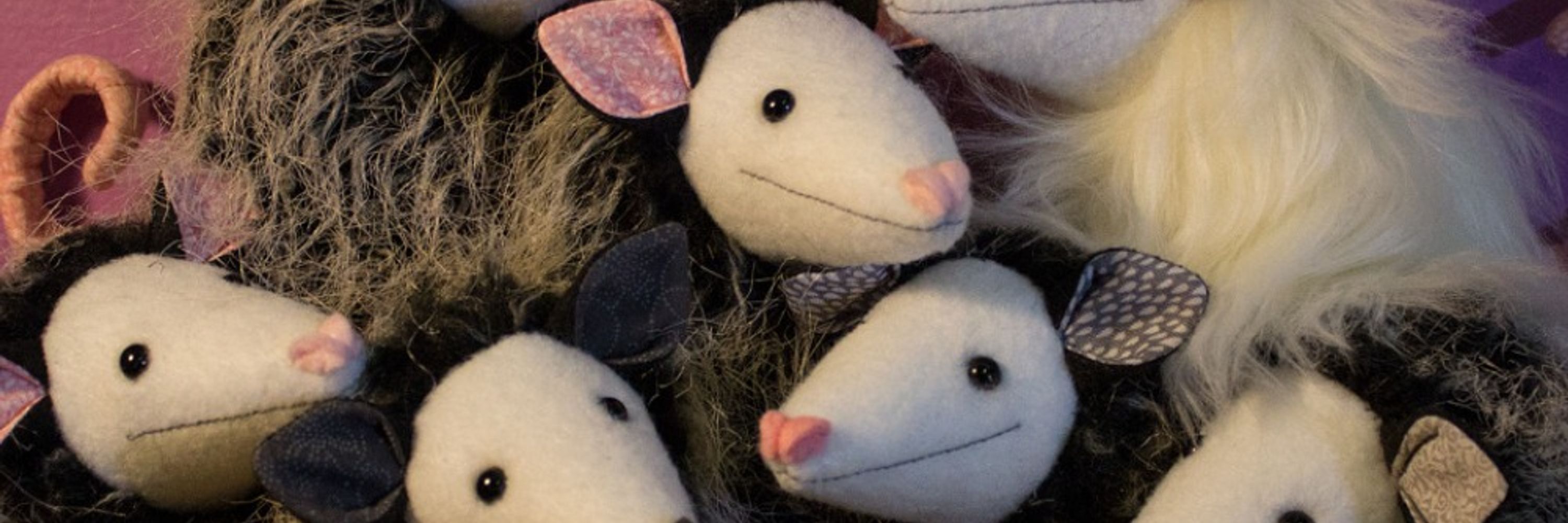 Portly Possum