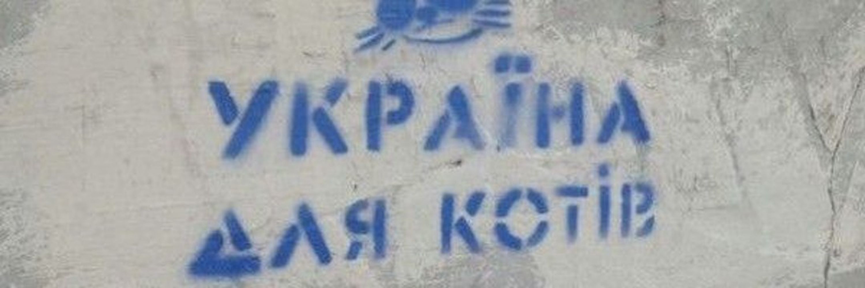 олеськович