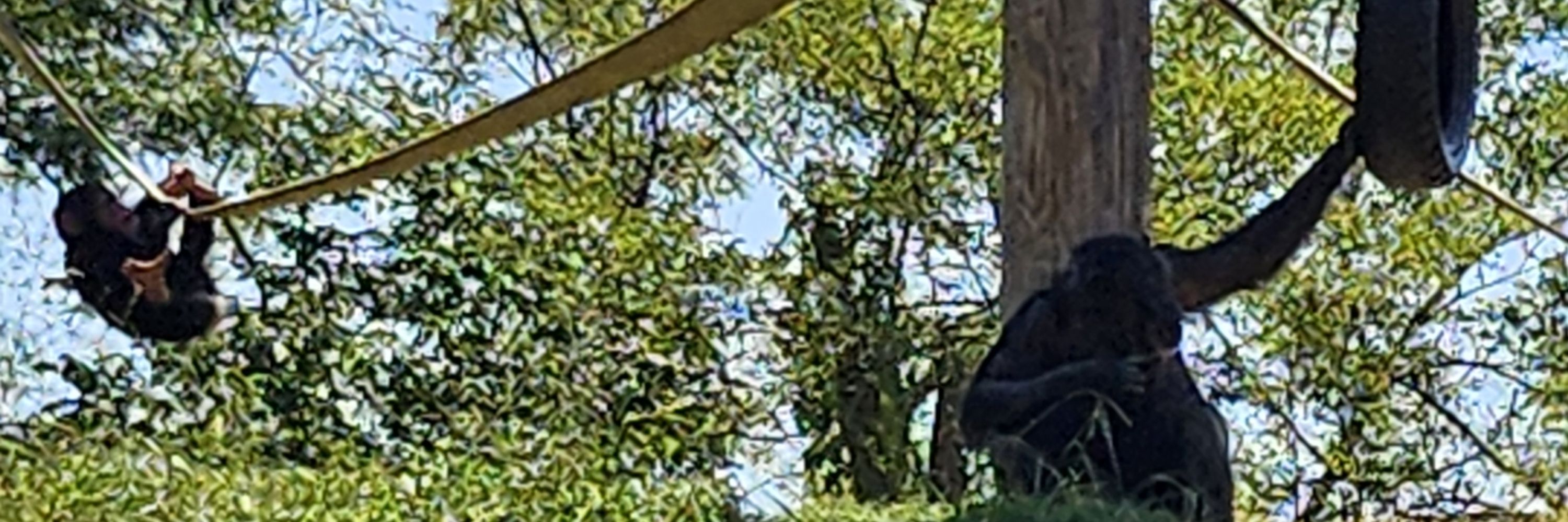 Kal