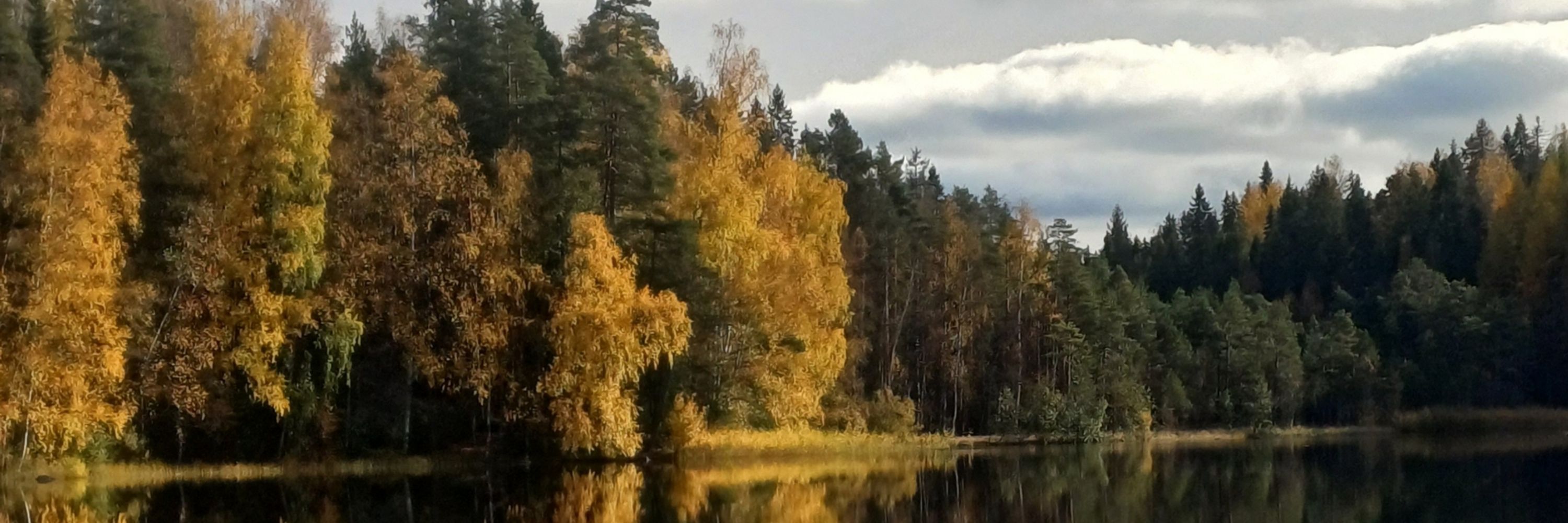tyrkisk peber