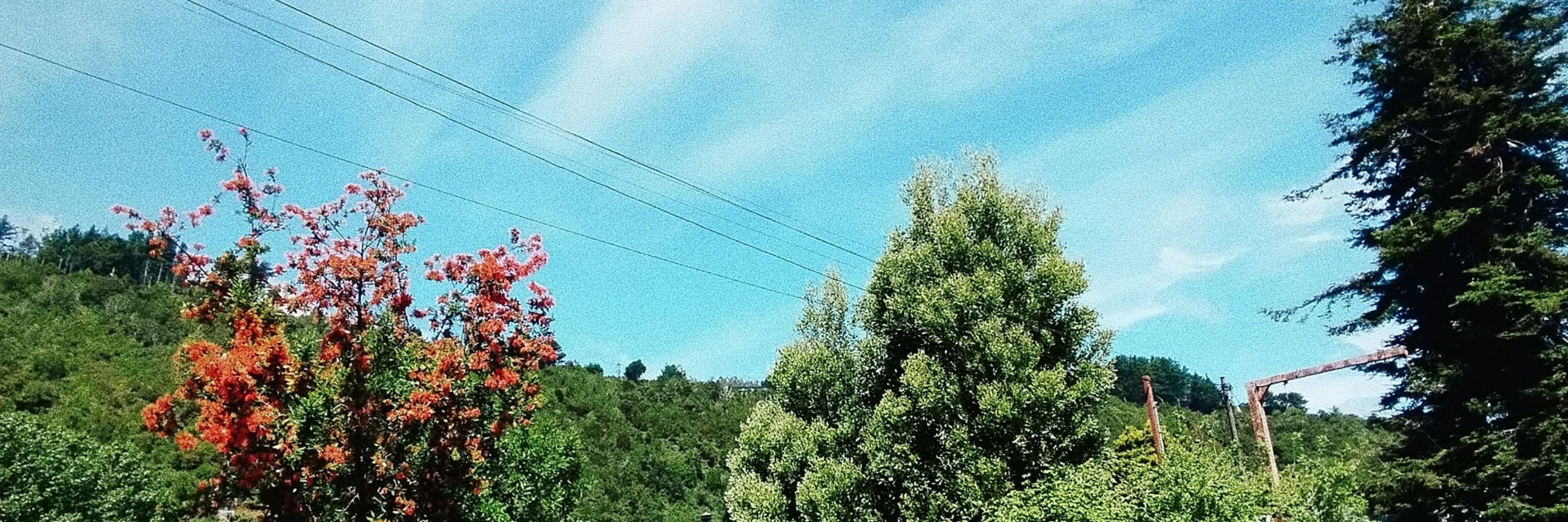 SoleBlue