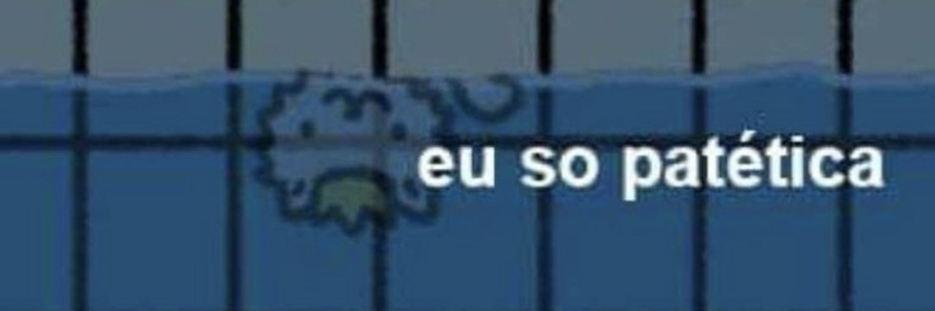 Otaria🤡