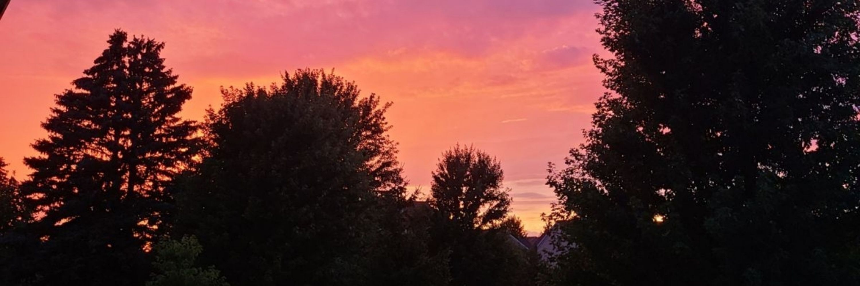 MNWeatherGeek