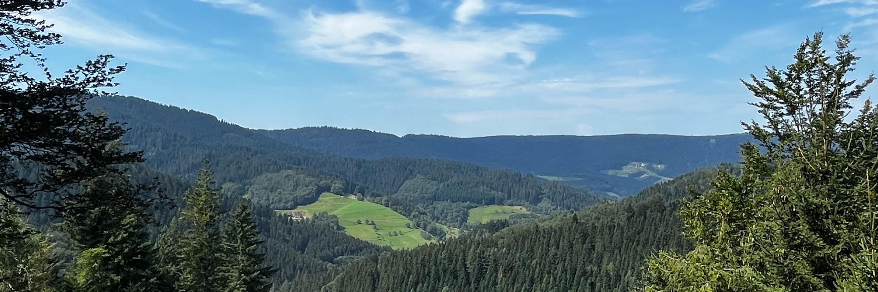 Xelar