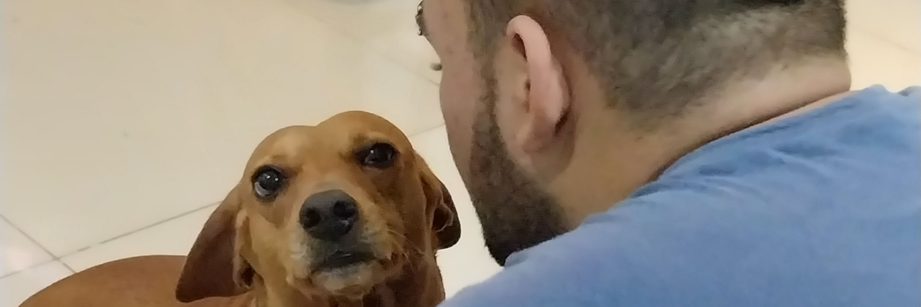 :Pedro