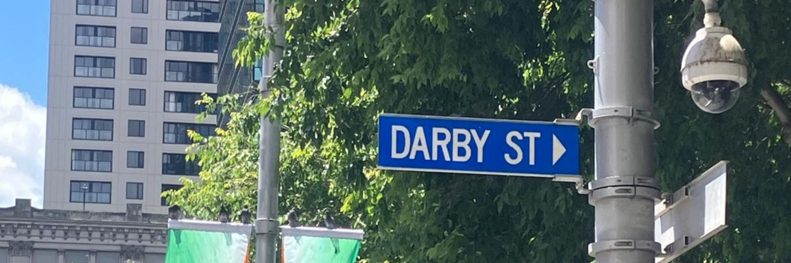 dashing darbs