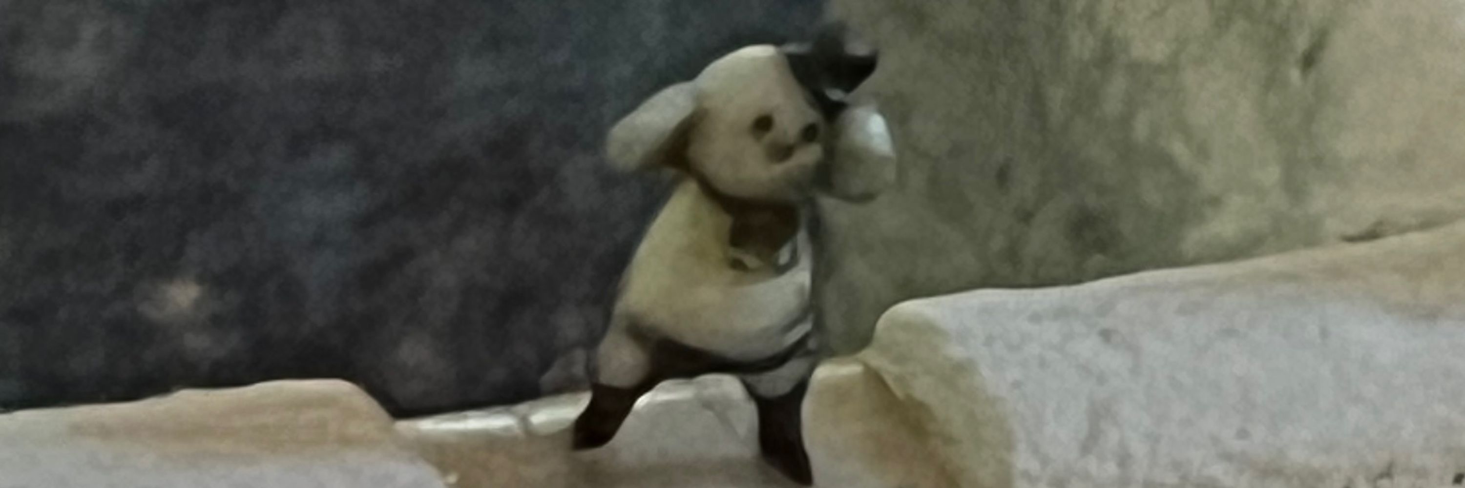 しょげ(ヽ'ω`)