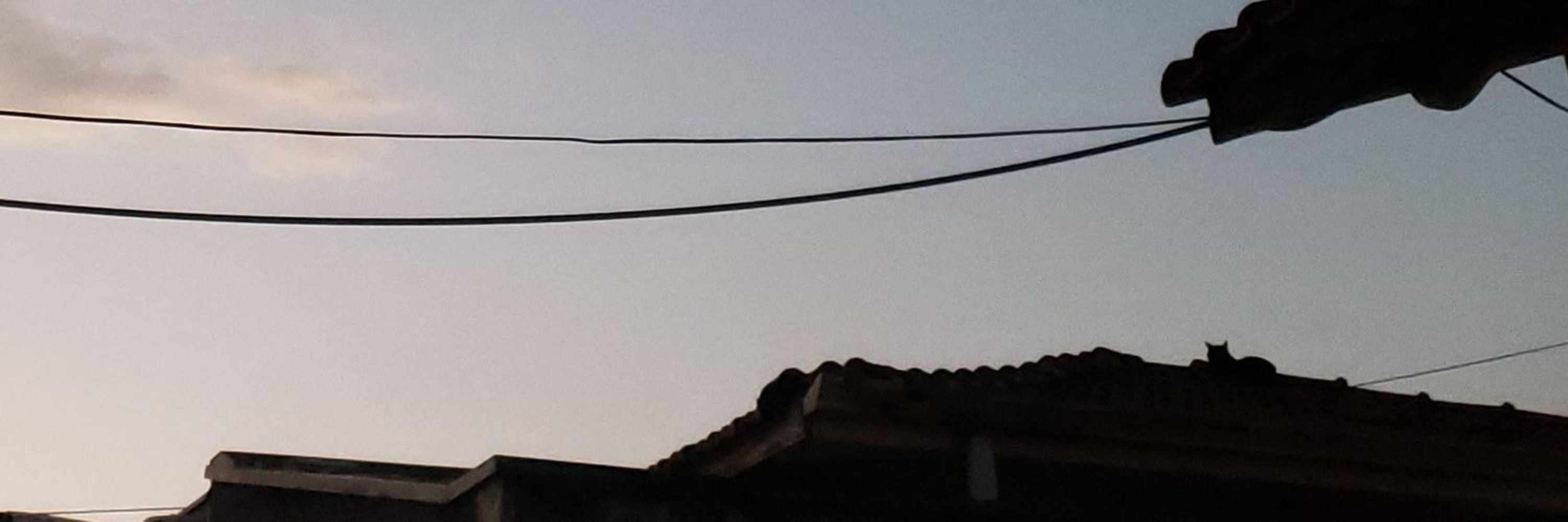 Lucão