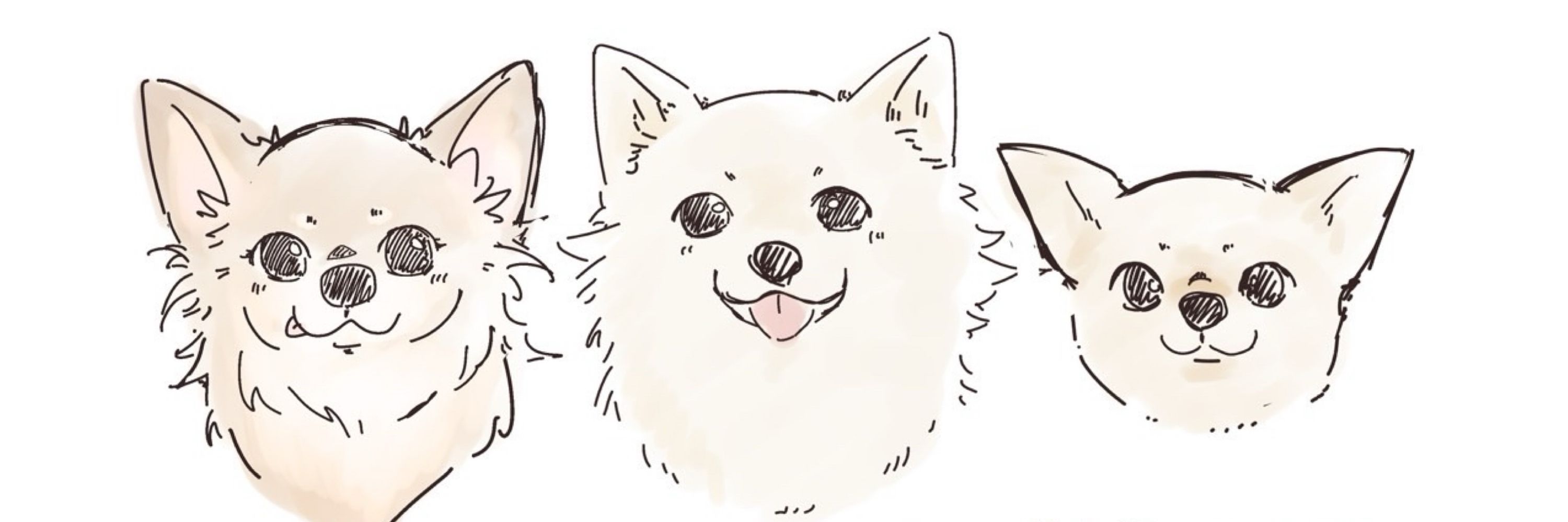 くーぽん