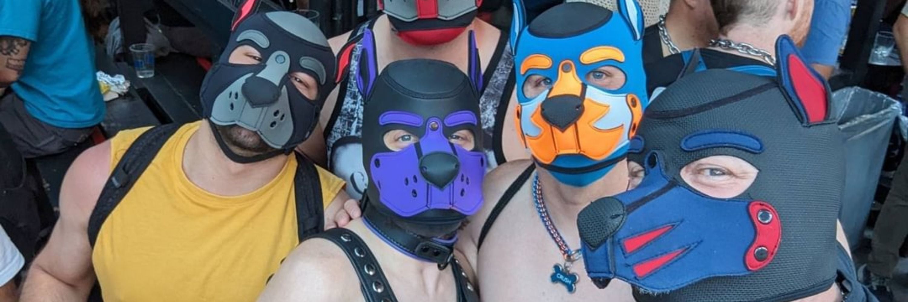 Pup Orion 