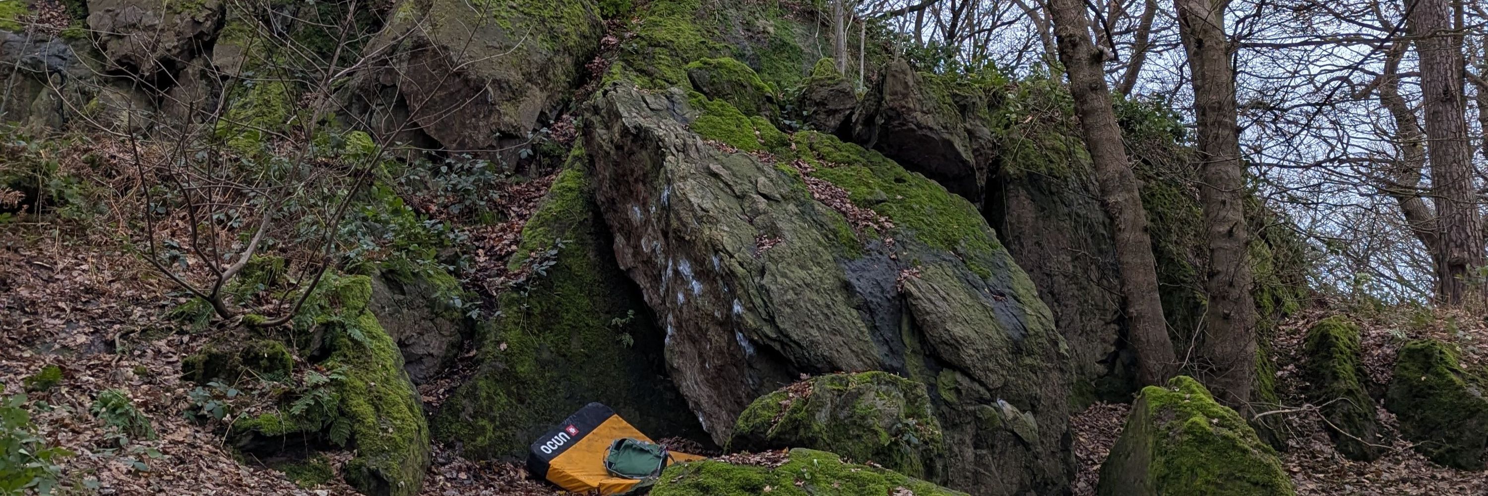 Swaleh