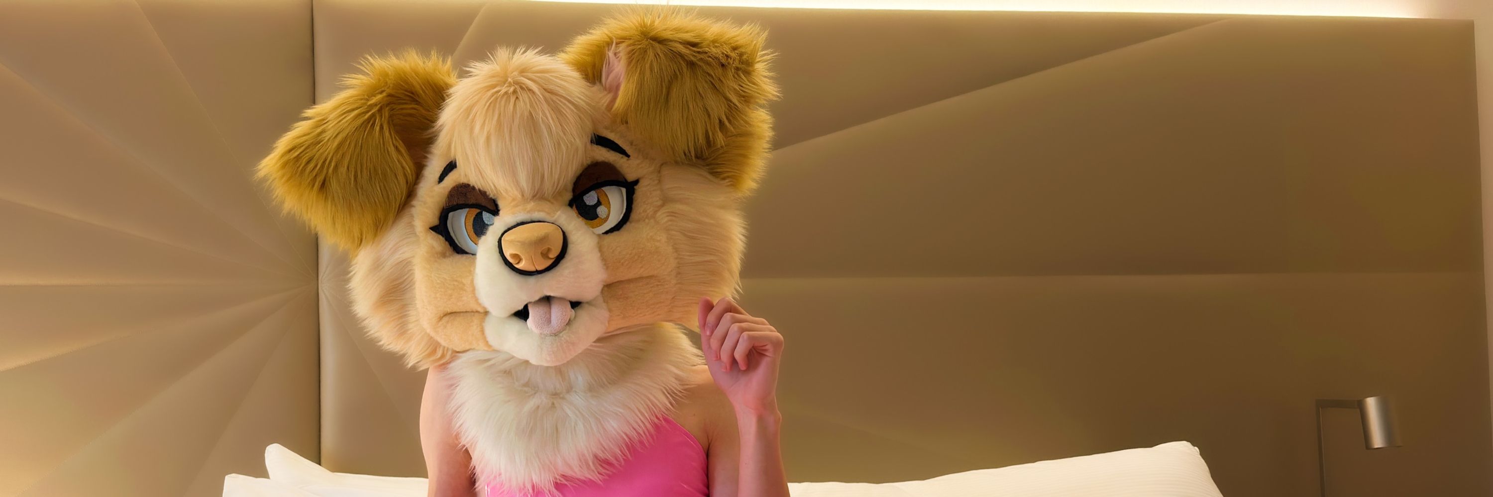 🎀 Amber Collie 🎀