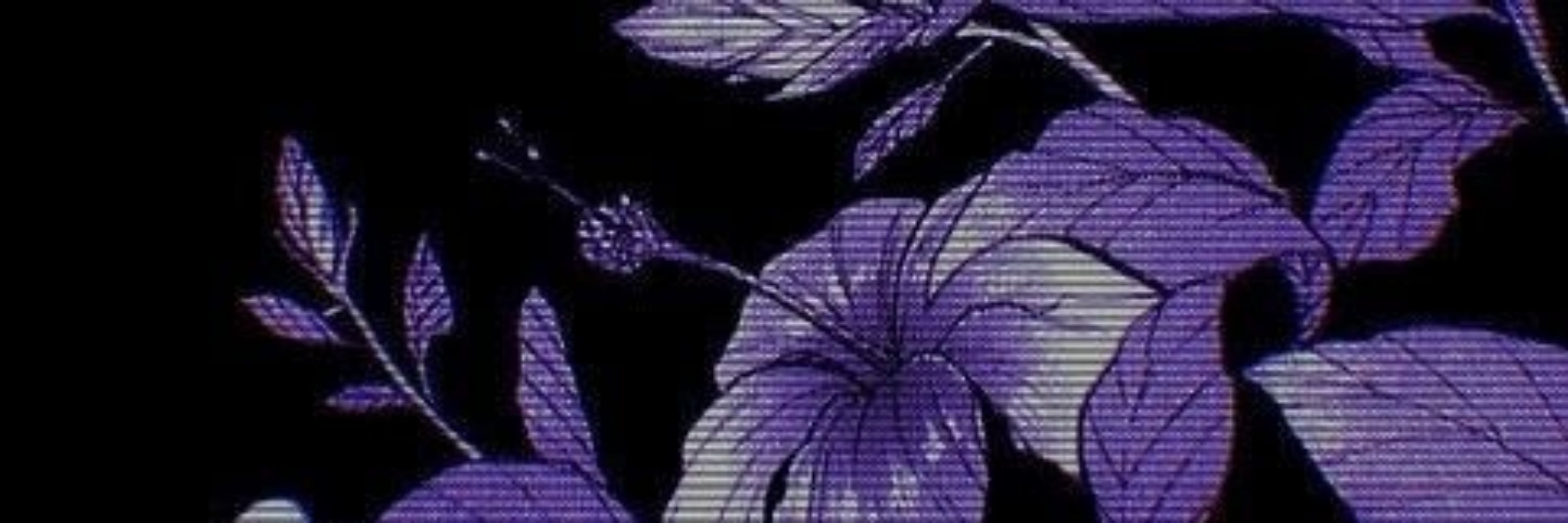 ♤♡-Rakuquil-♡♤