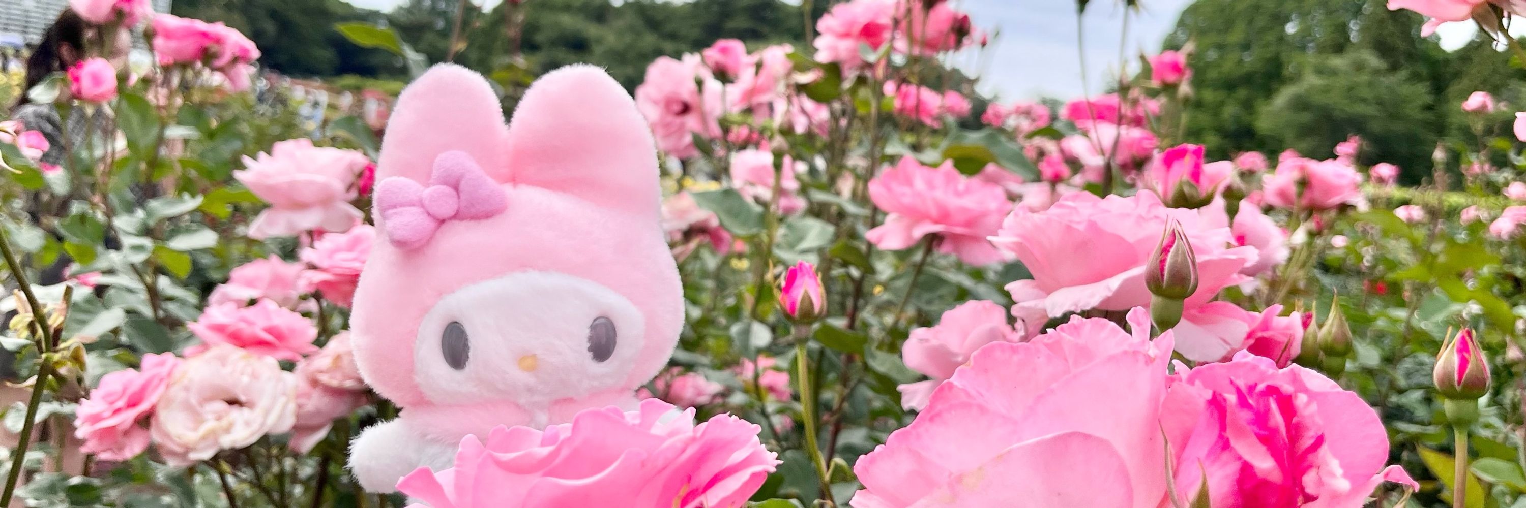 ほたて🐇🎀🍒🐼