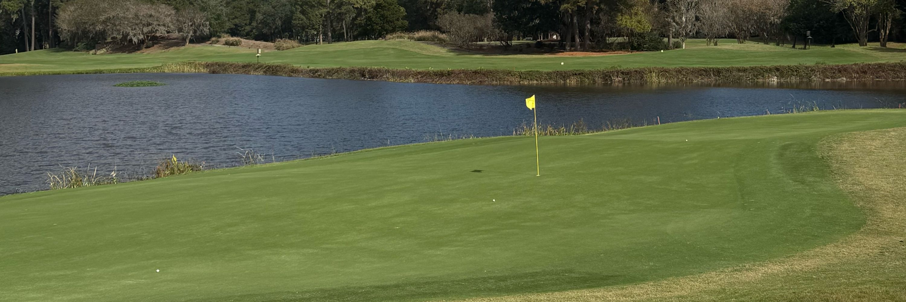 andyfgolfpro
