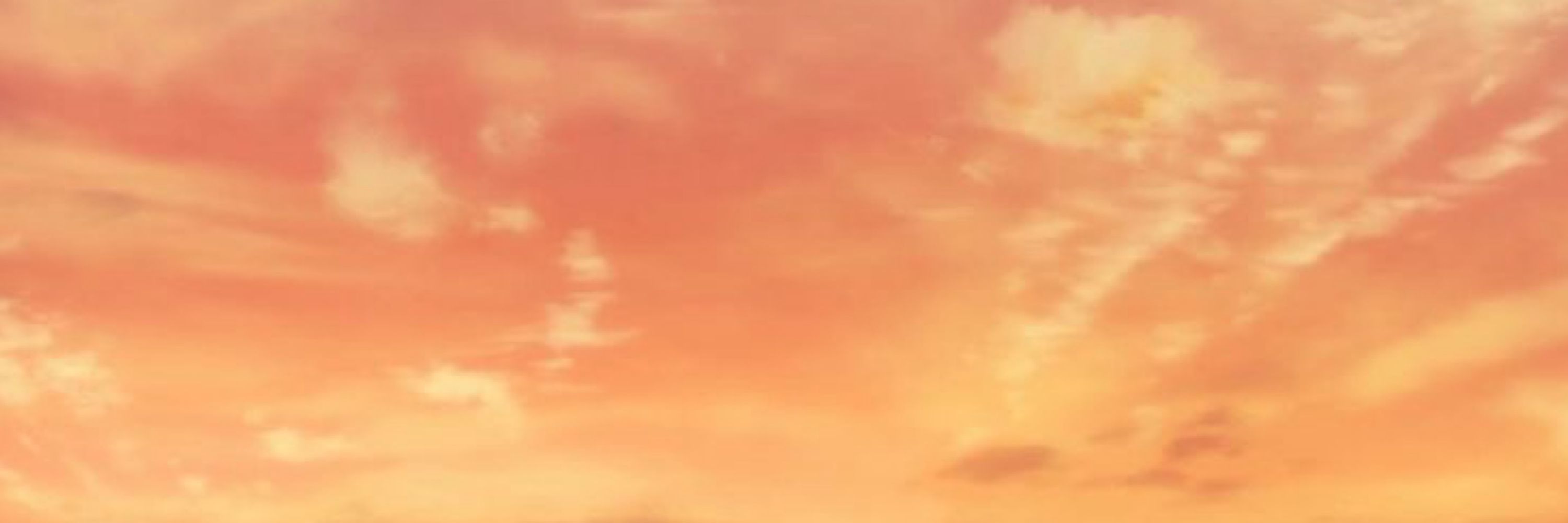 𝓝𝓲𝓱𝓪𝓵 ☀️