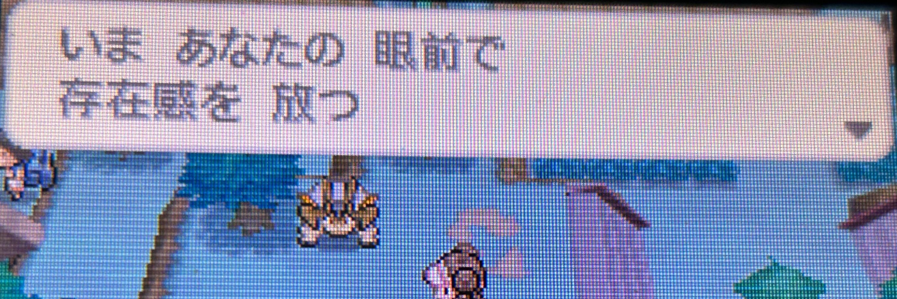 綾科ひばり