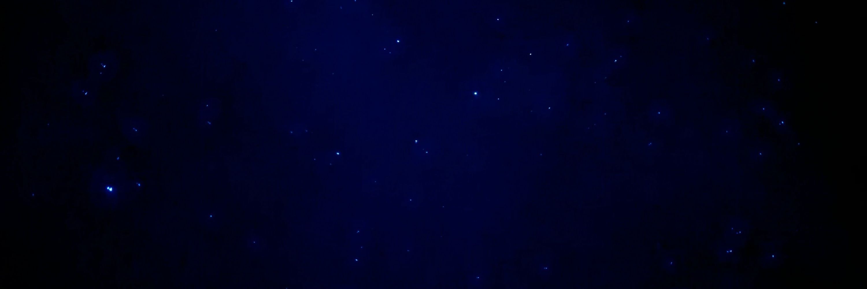 Haley’s Comet