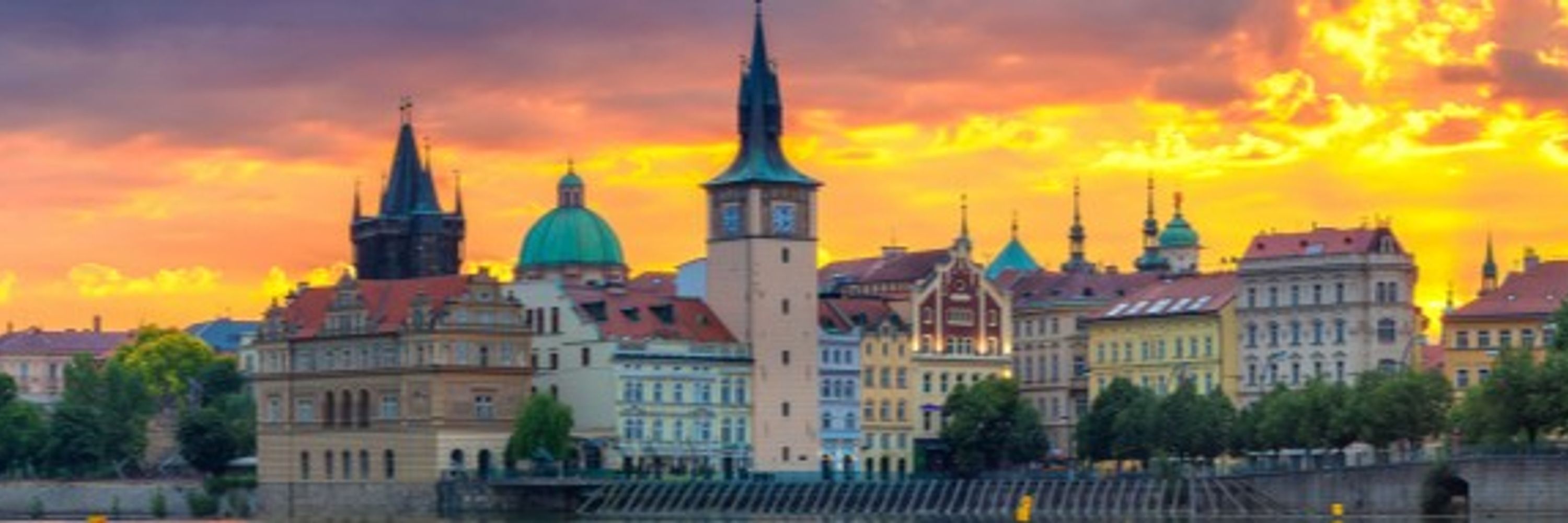 IEEE International Conference on Development and Learning (ICDL)