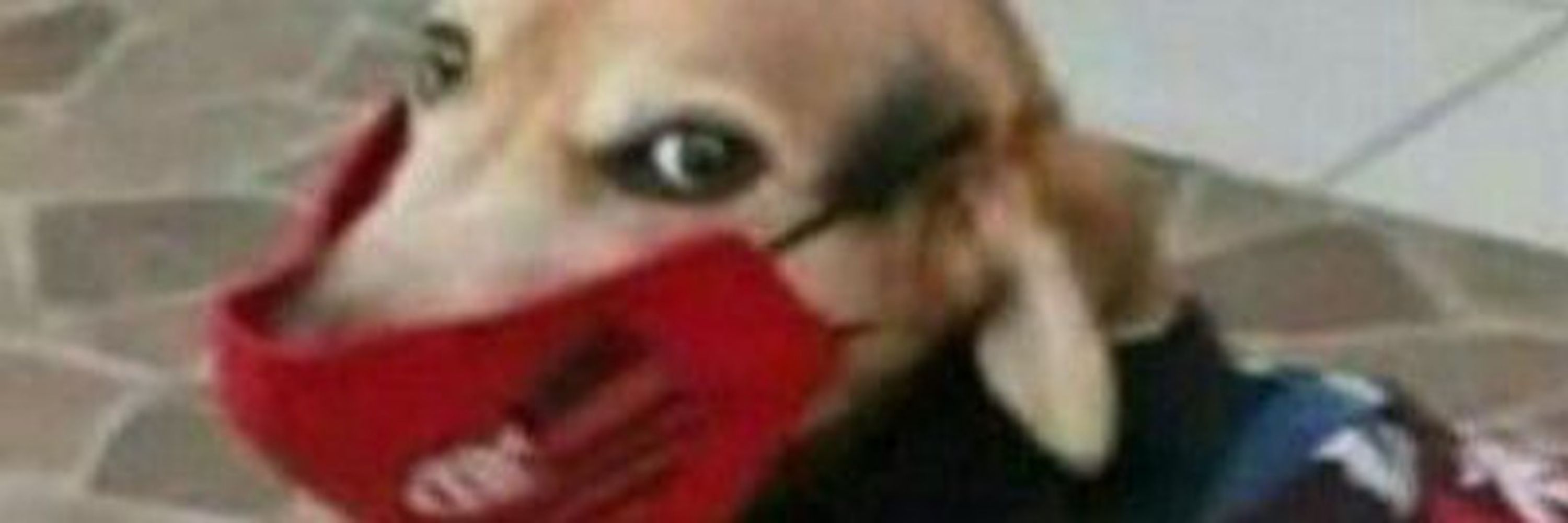 Yoongi pegou mestre no free fire ⁷