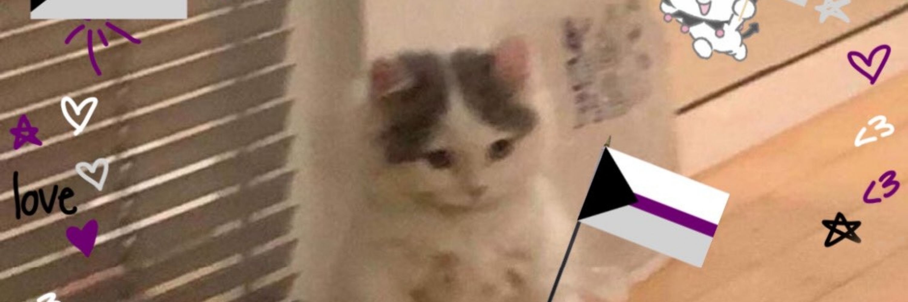 Vic