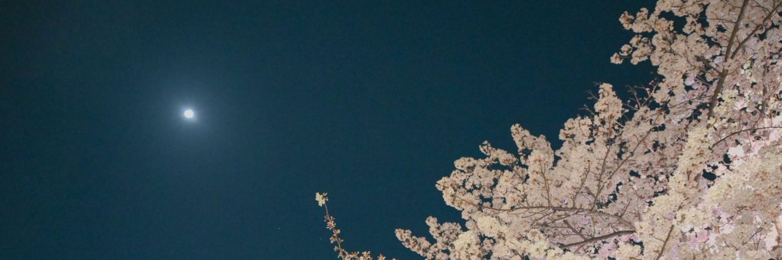 春夜
