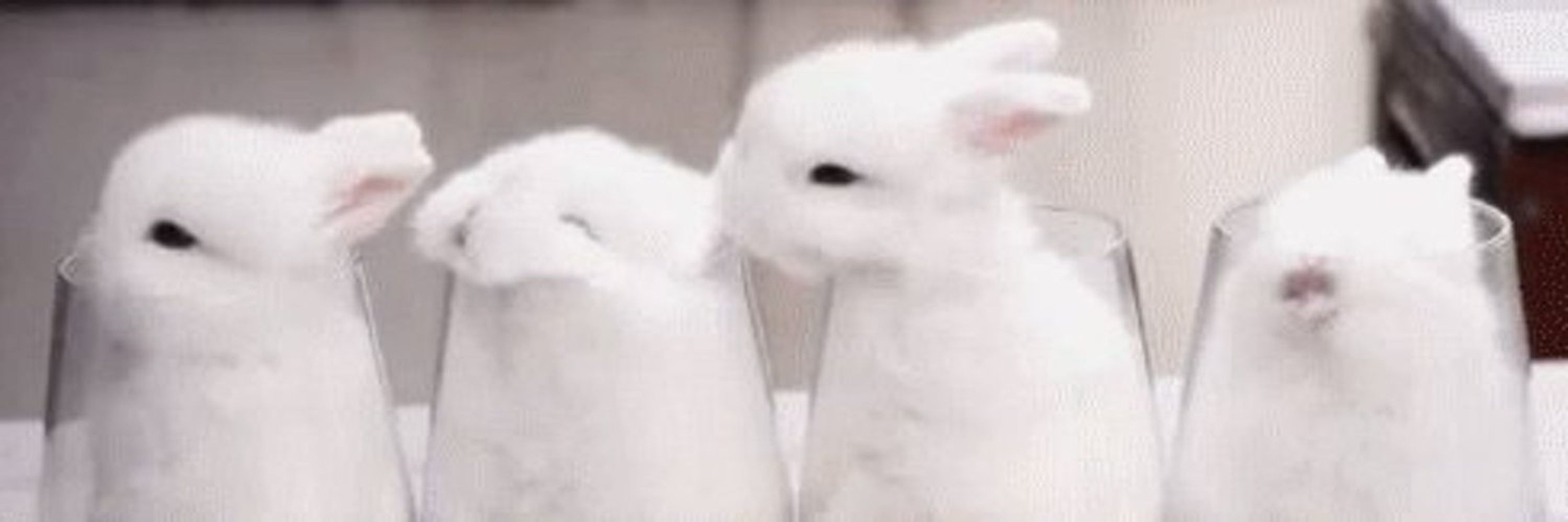 𝘤𝘦𝘭𝘺𝘯