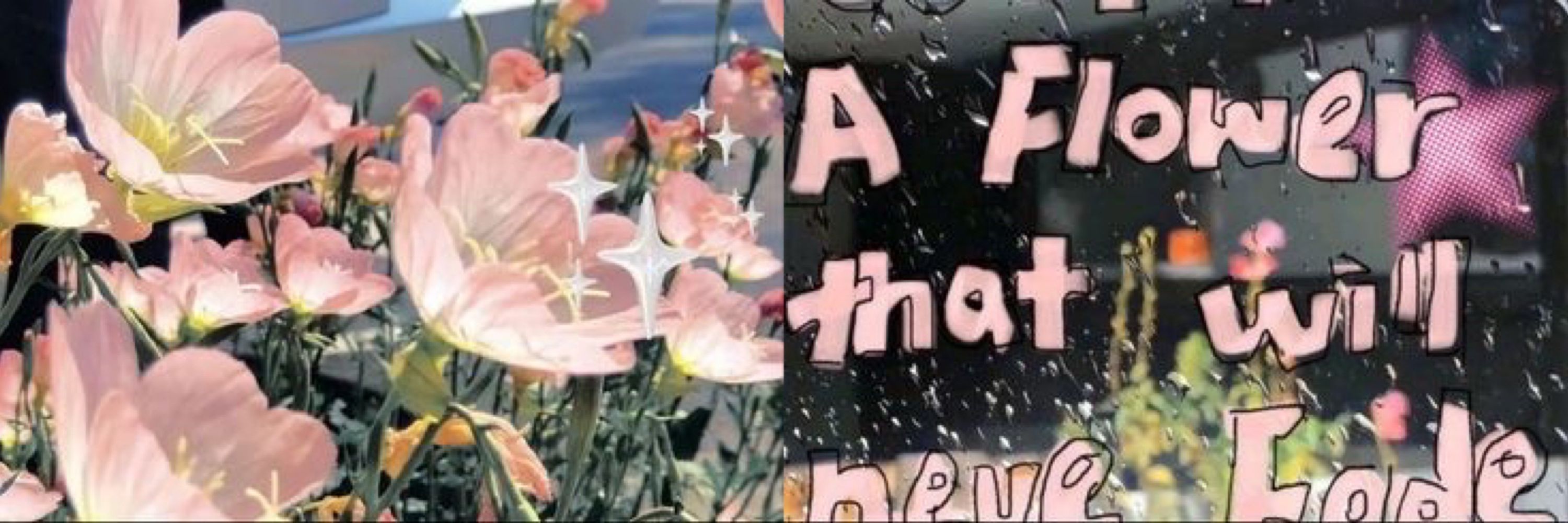 in🌷