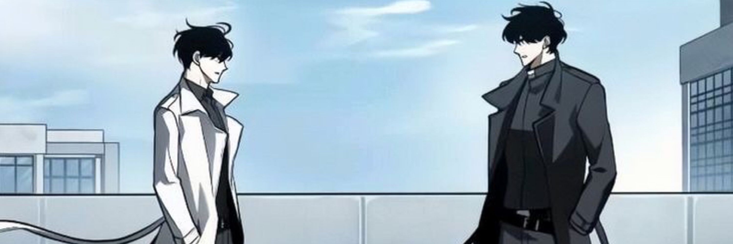 Megane_D