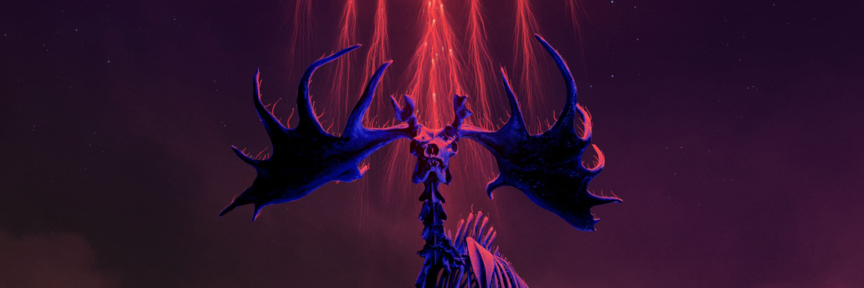 Marko Manev🔜SCG Denver