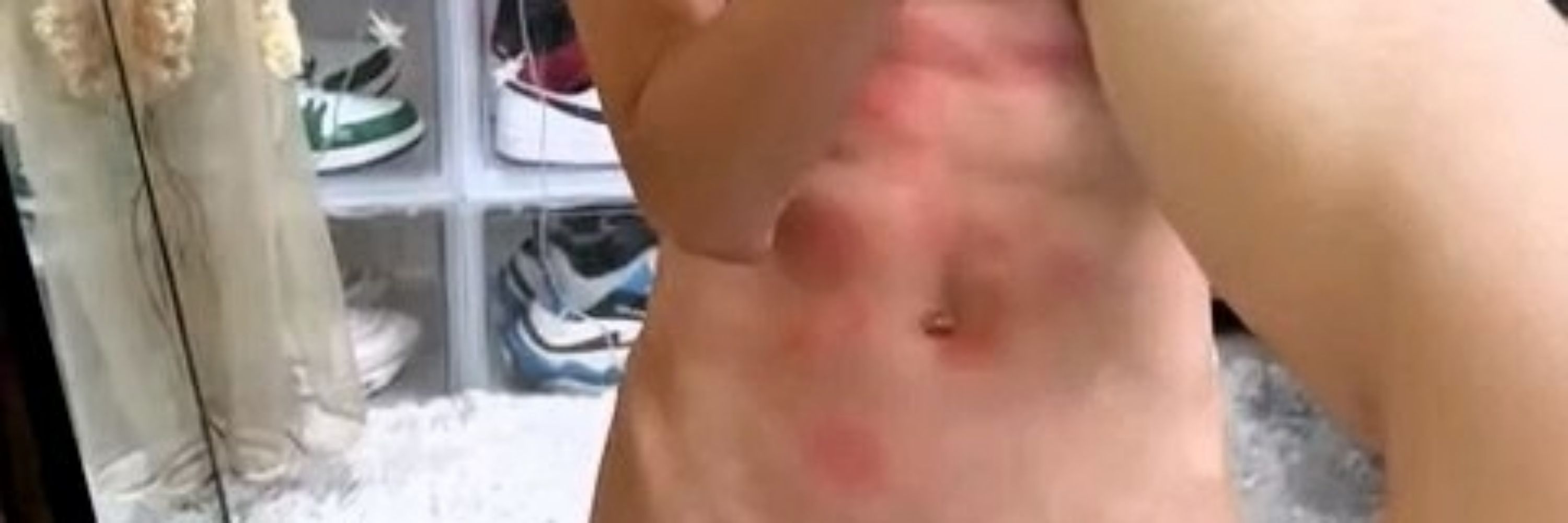 八爪鱼
