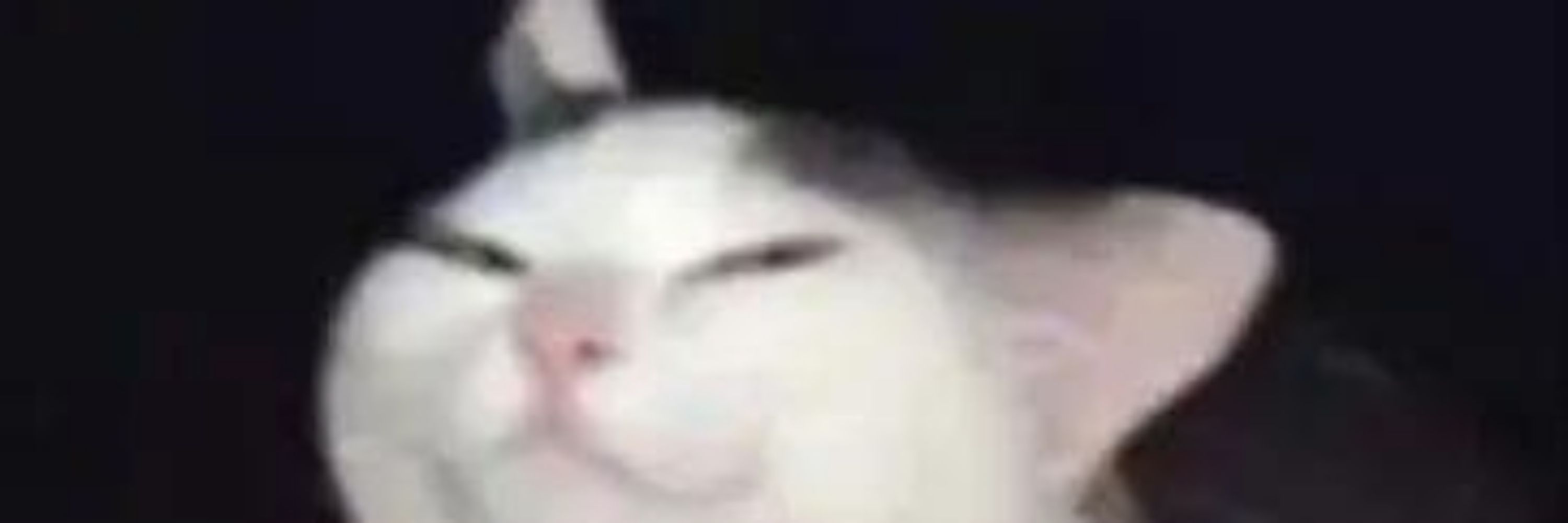 Blobcat.laxcore