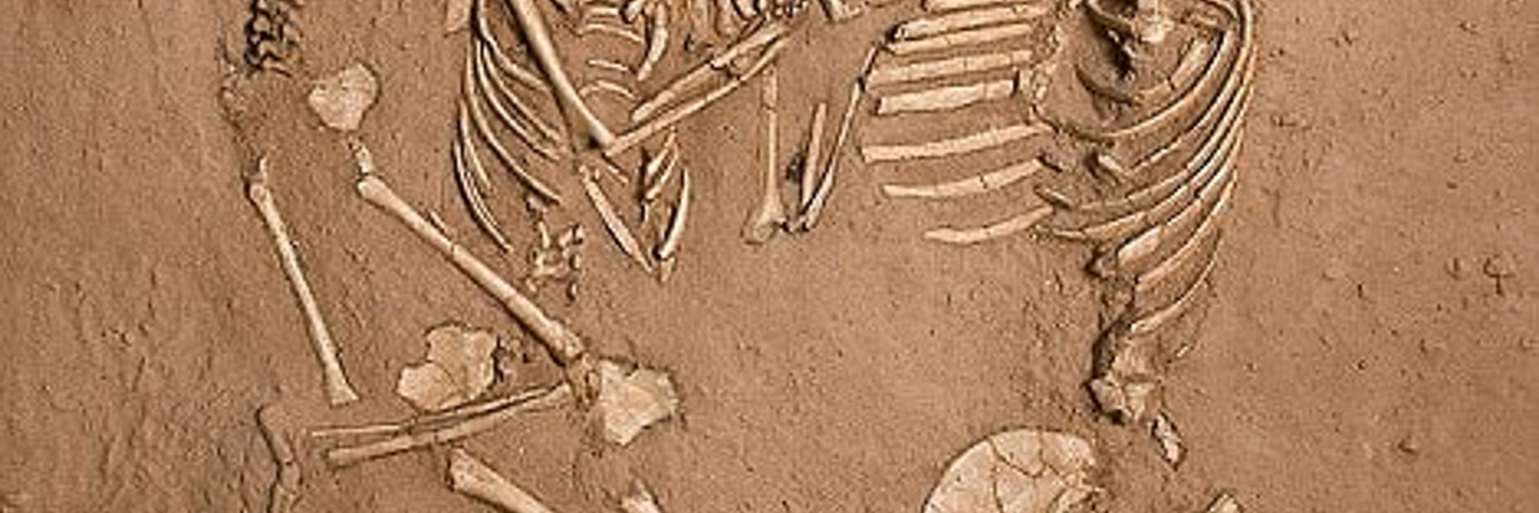 Kat the Gravedigger