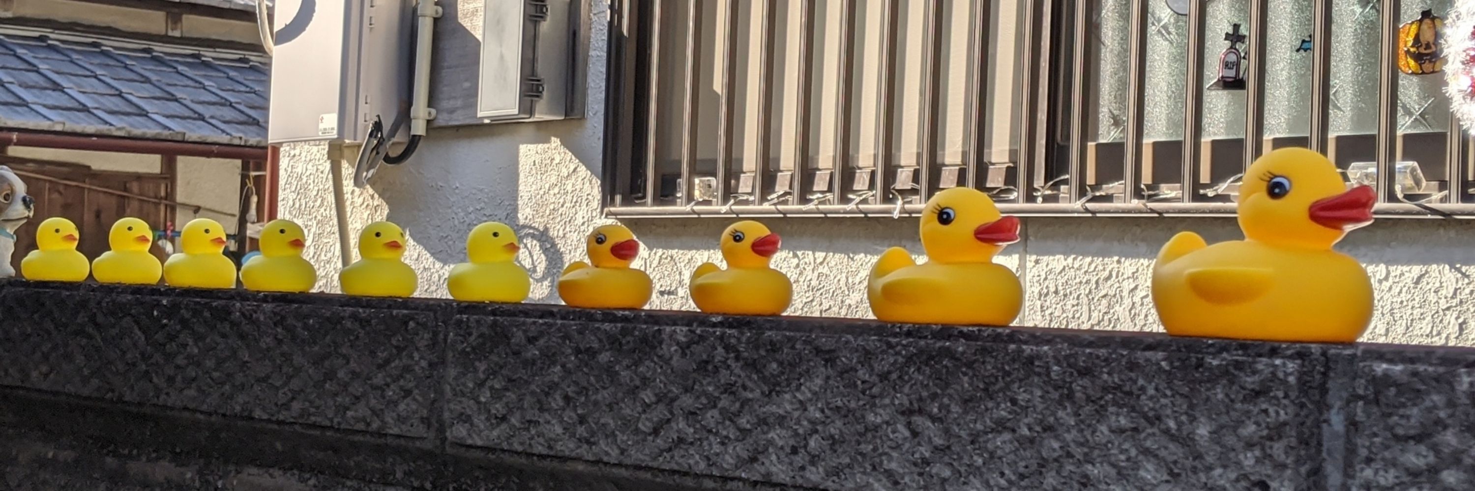 ヨホホ